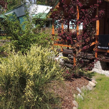 Osrodek Wypoczynkowy "Puszczyk" Wolnostojace Domki Z Bali Sierakow  Exterior foto
