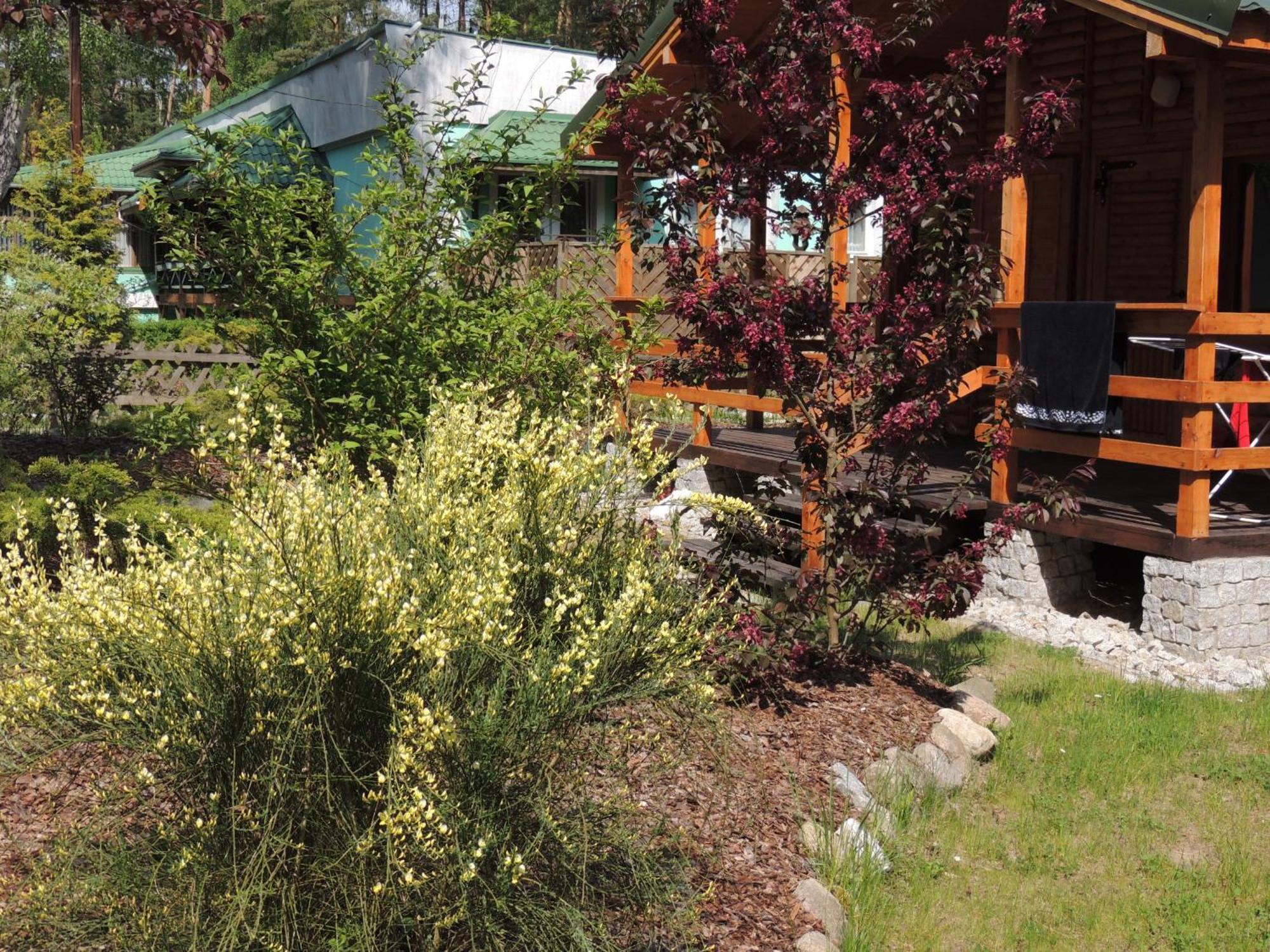 Osrodek Wypoczynkowy "Puszczyk" Wolnostojace Domki Z Bali Sierakow  Exterior foto